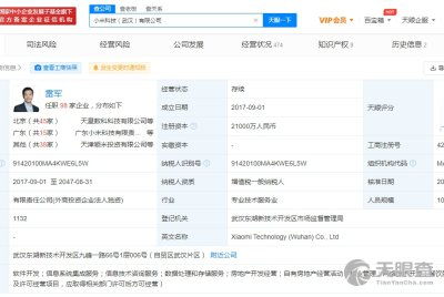 小米信息技術(shù)武漢有限責(zé)任公司 引領(lǐng)江城信息技術(shù)咨詢服務(wù)新浪潮